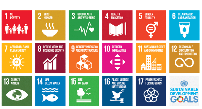 17 Sustainable development goals