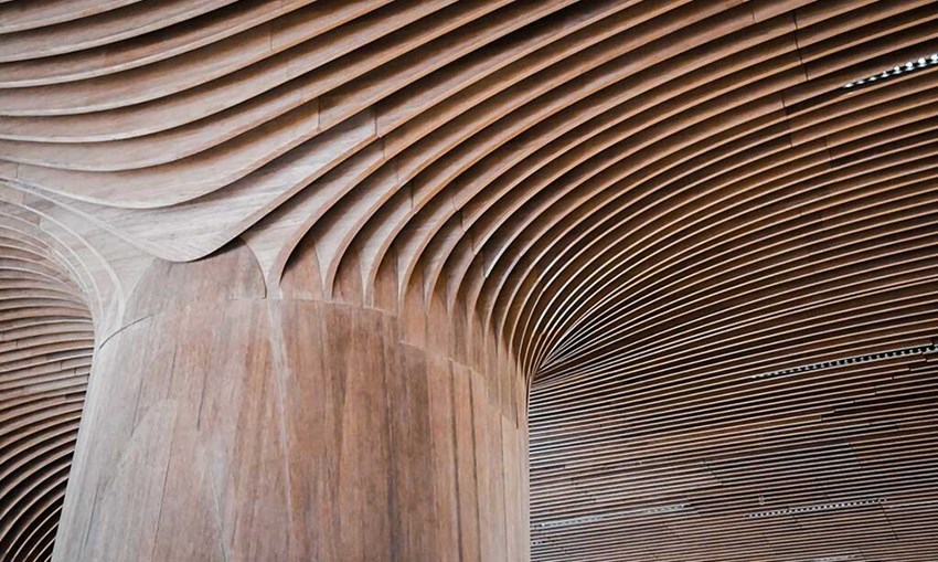 Bellissimo tetto creato con bambù moso