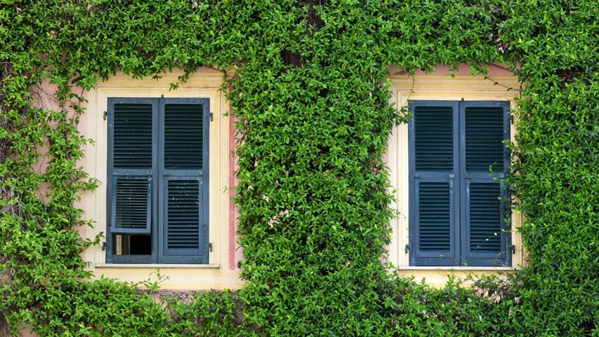 Esatto: stiamo parlando di sostenibilità.